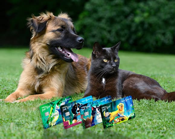 Maximum Pati Kart'a özel Veteriner ya da Petshop Alışverişlerinizde %10, Aylık Toplamda 1.700 TL'ye Varan İndirim Fırsatı!